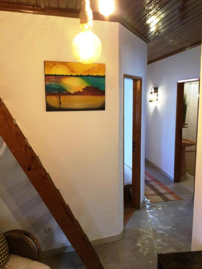 Art'Rio - Casa No Rio Em Dornes Villa Exteriör bild